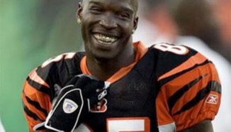 Chad Ochocinco срещу Anderson "Spider" Silva - може би догодина?