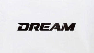 Резултати от MMA състезанието DREAM 16