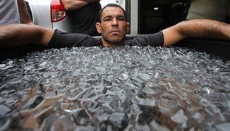 Antonio Rodrigo Nogueira срещу Brendan Schaub