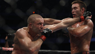 Подробности около контузията на Georges St. Pierre 