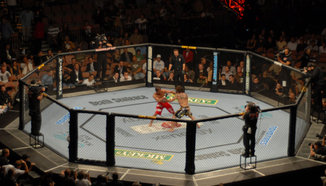 UFC ще организират световно първенство по ММА?