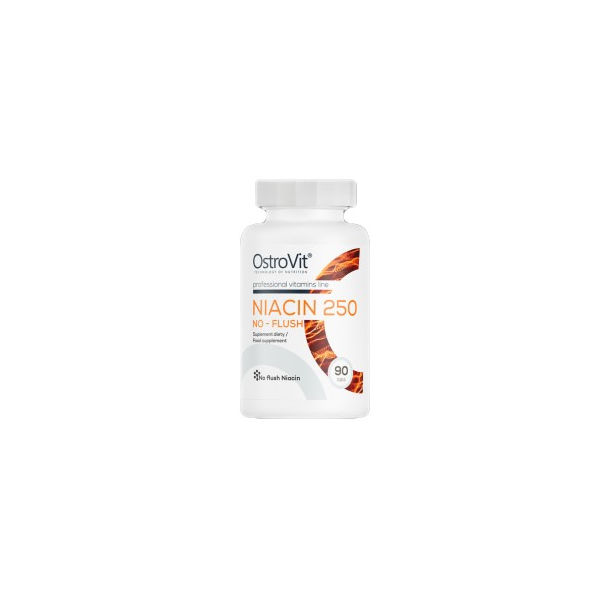 OstroVit - Niacin 250 | No-Flush / 90 Таблетки, 90 дози