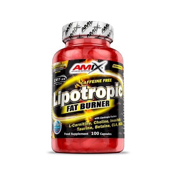 AMIX Lipotropic Fat Burner / 100 Caps